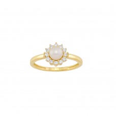 Δαχτυλίδι Σε Κίτρινο Χρυσό 14K Aloro (RI21 - ΖΧ2445)